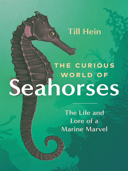 Title details for The Curious World of Seahorses by Till Hein - Available